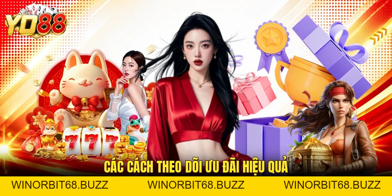 Khuyến Mãi YO88 Hấp Dẫn Với Nhiều Quà Tặng Giá Trị - WINORBIT68.BUZZ