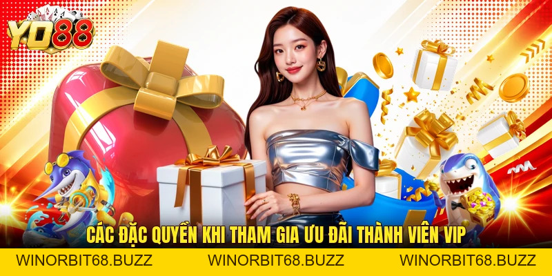Ưu Đãi Thành Viên Vip Độc Quyền Với Nhiều Đặc Quyền - WINORBIT68.BUZZ