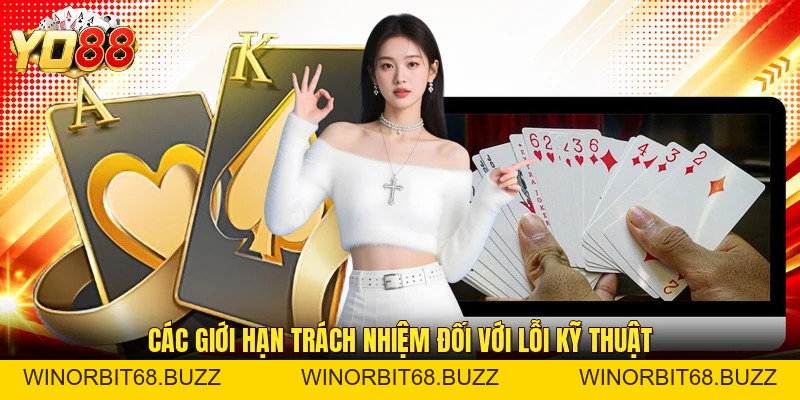 Miễn Trừ Trách Nhiệm Tại YO88: Những Quy Định Cần Biết - WINORBIT68.BUZZ
