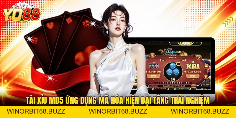Tài Xỉu MD5 - Trò Chơi Giải Trí Đẳng Cấp Nhất Châu Á - WINORBIT68.BUZZ